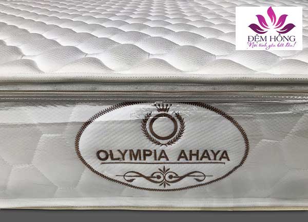 Logo đệm lò xo cối Ahaya chính hãng Olympia
